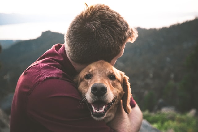 Man in red shirt hugging a brown dog