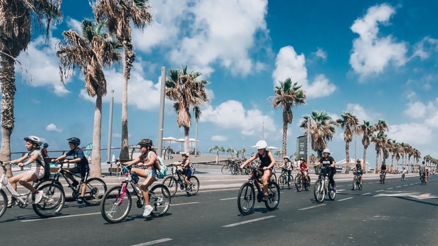 kids on cruiser bikes